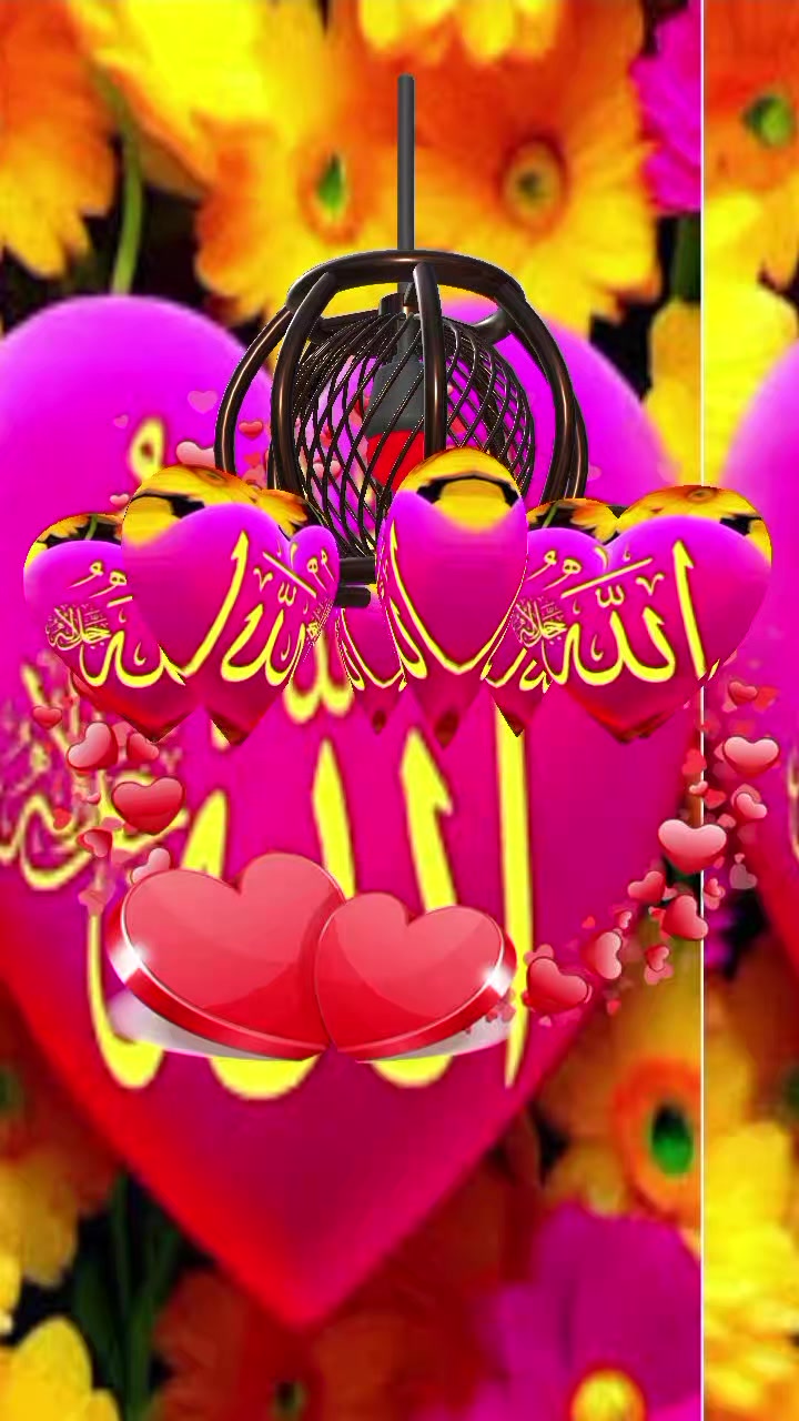 @iloveallah__3