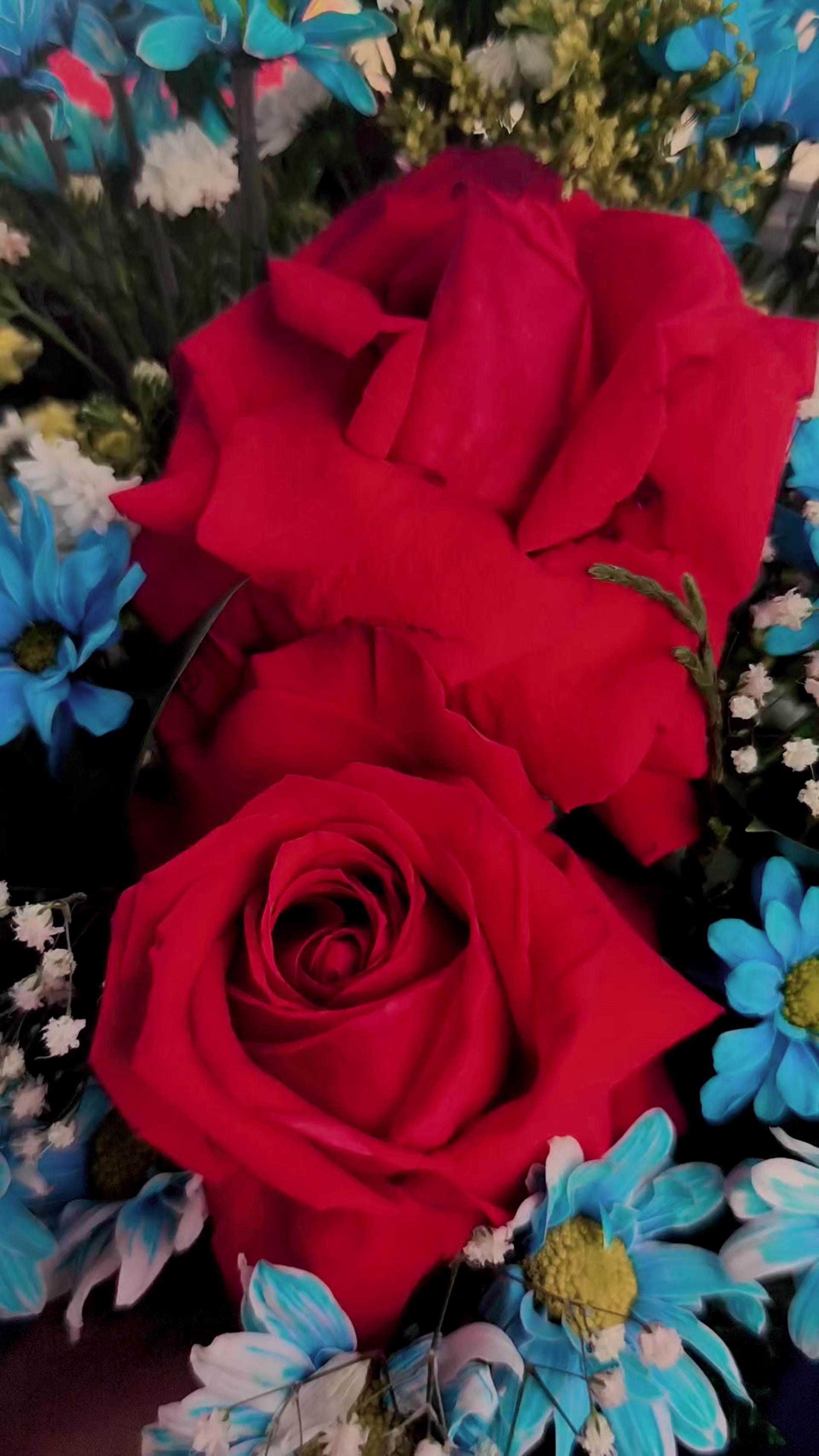 @𝐌𝐢 𝐫𝐞𝐢𝐧𝐚💕💞🌈