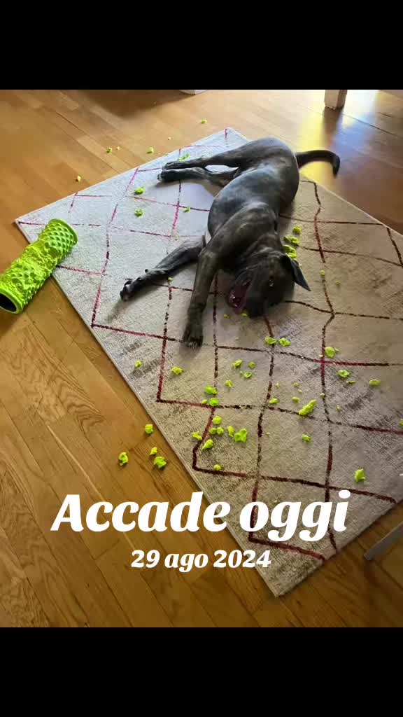 @Manumanufrau66