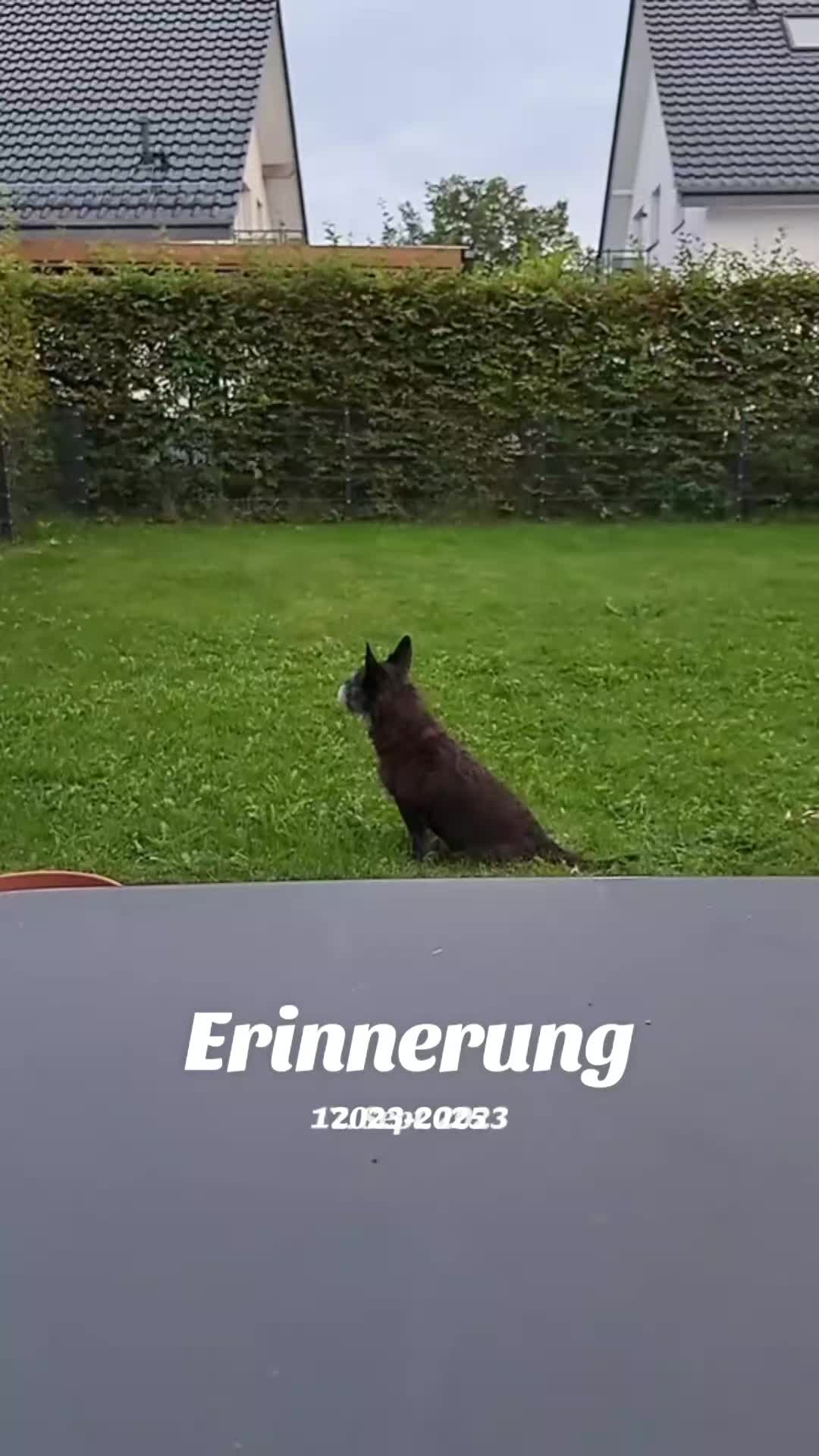 @Maya'sAbenteuer_HexeErinnerung