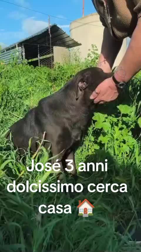 @Zito Calogera