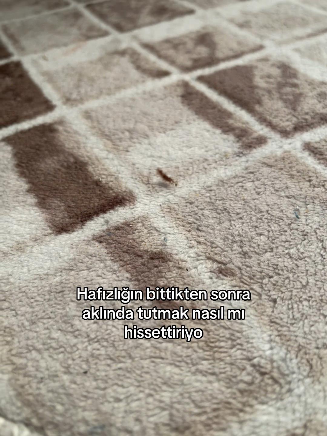 @𝓜aqm🦕