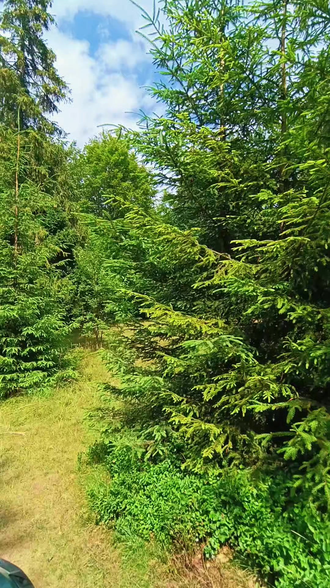 @Ірка-Зефірка