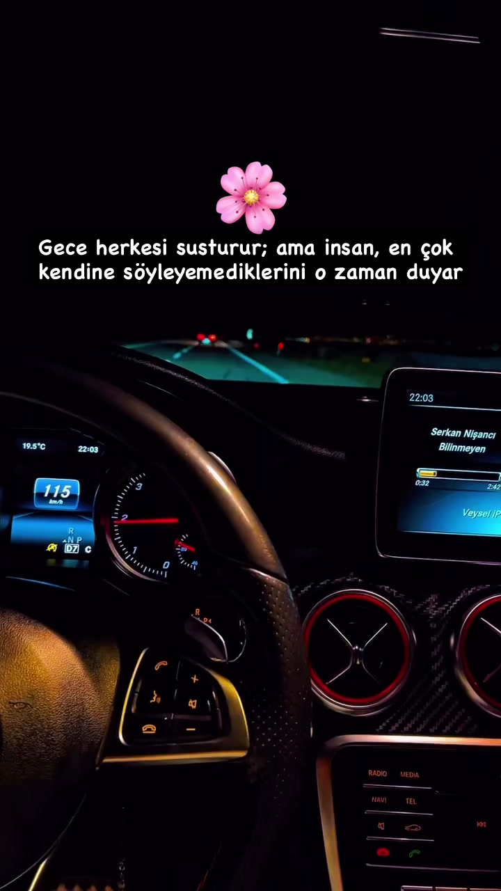 @Seyfi Curt