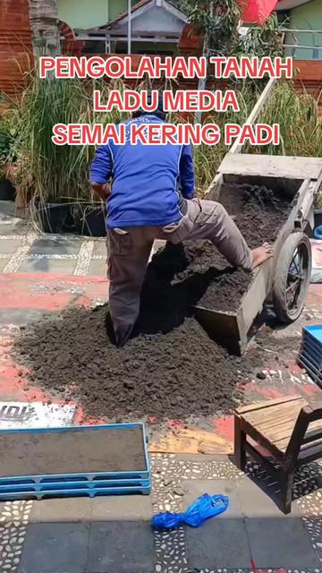 @KANG DIDI BANTENG