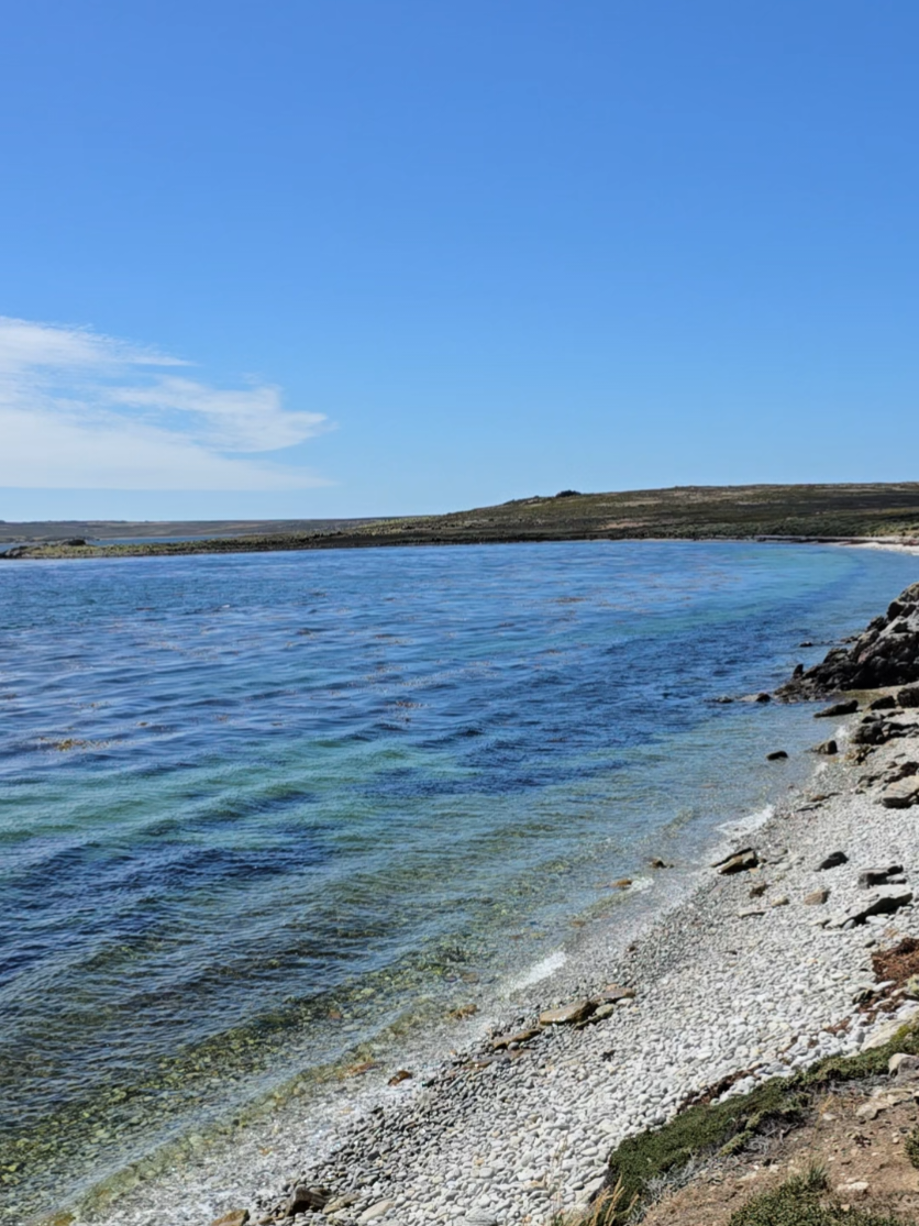 @🇫🇰Roxy in the Falklands🇫🇰