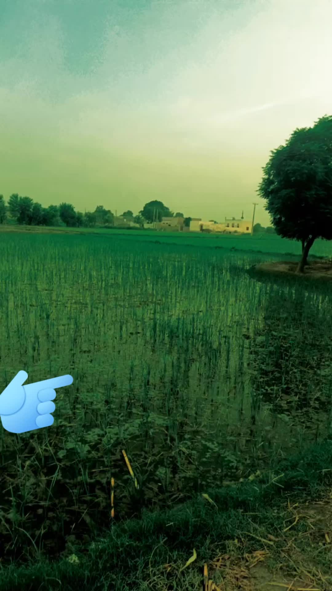 @Abdul Lateef Pakpattan Aala