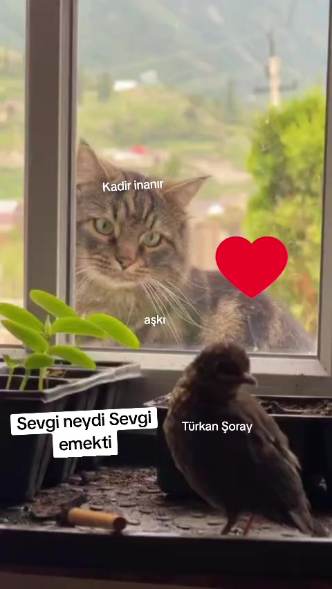 @gamzeli kızı 😊 minnoşlari