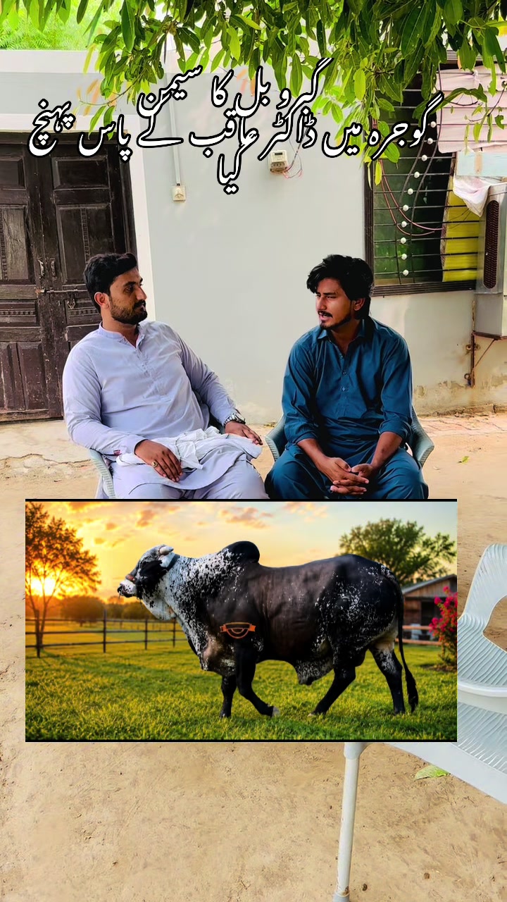 @وقاص روہی والا
