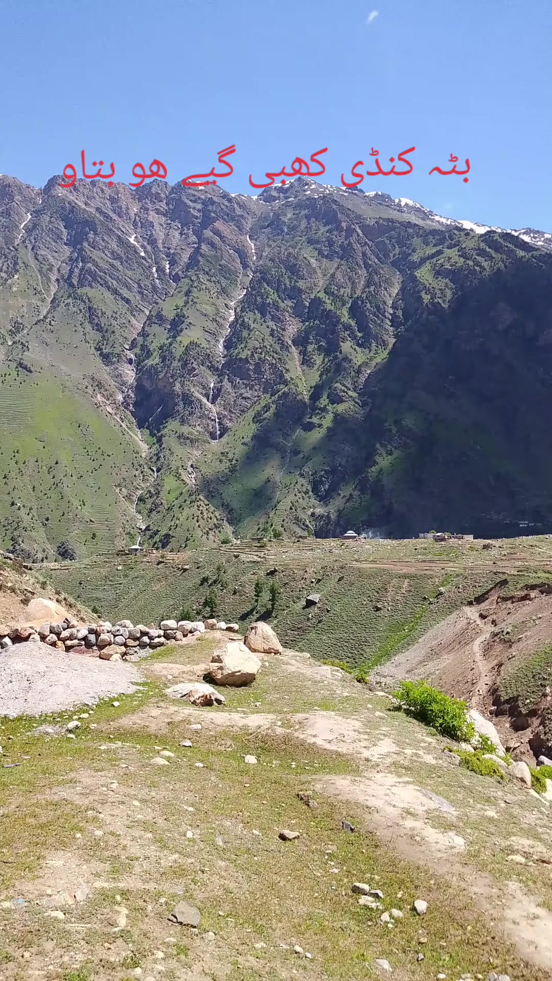 @سیدذادی