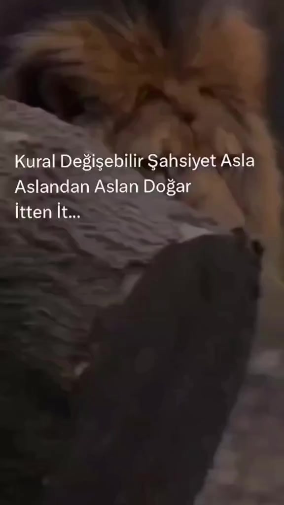 @Serkoficall