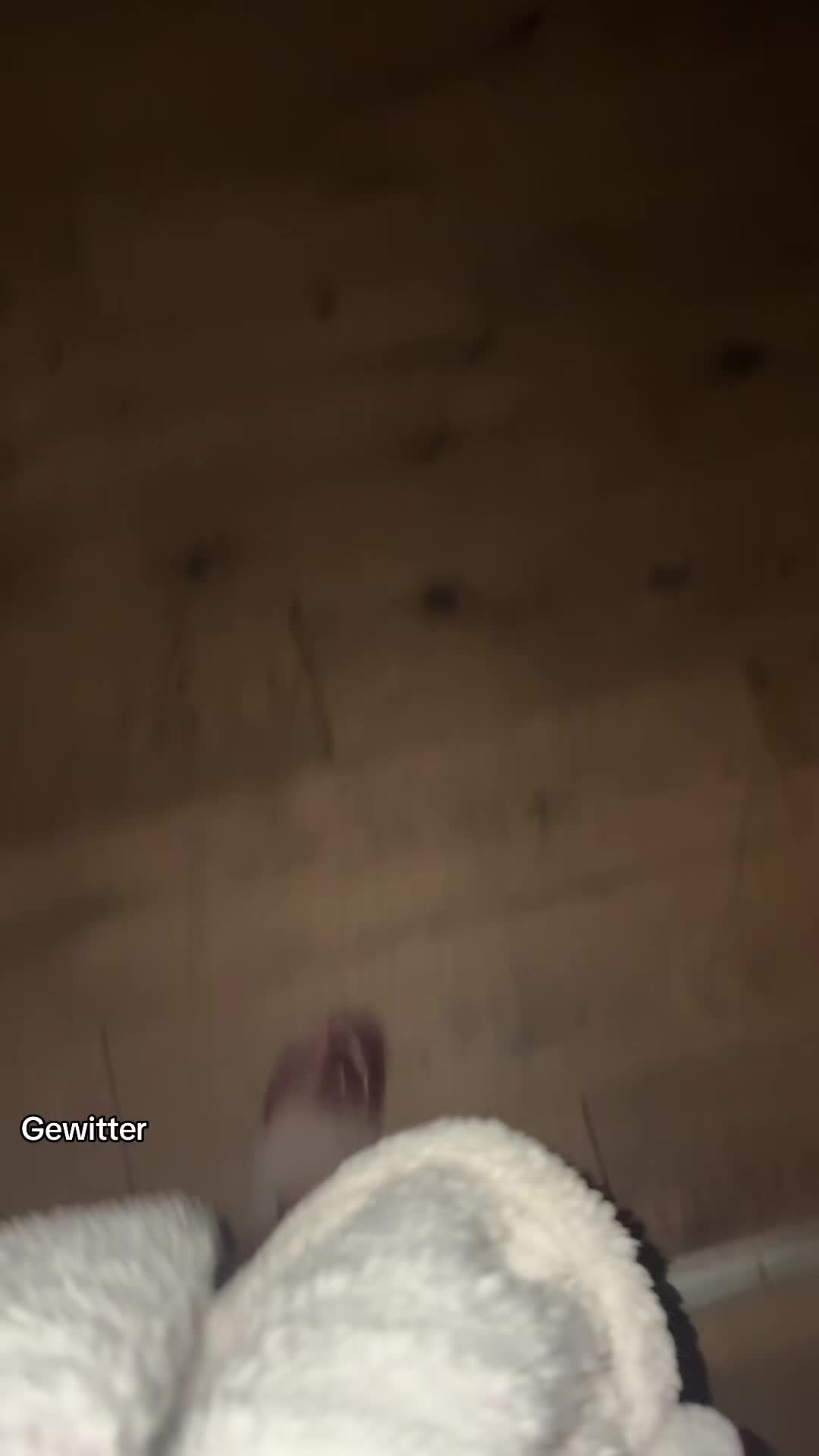 @Cecilia