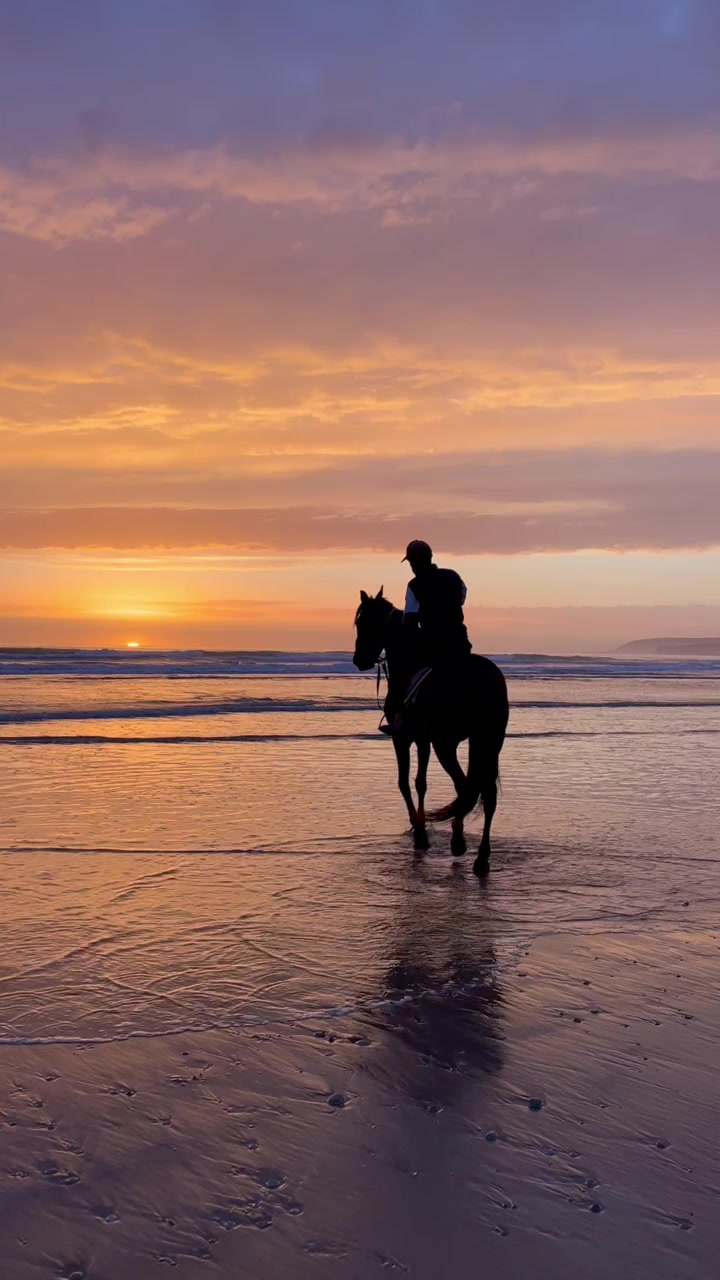 @Cheval_agadir