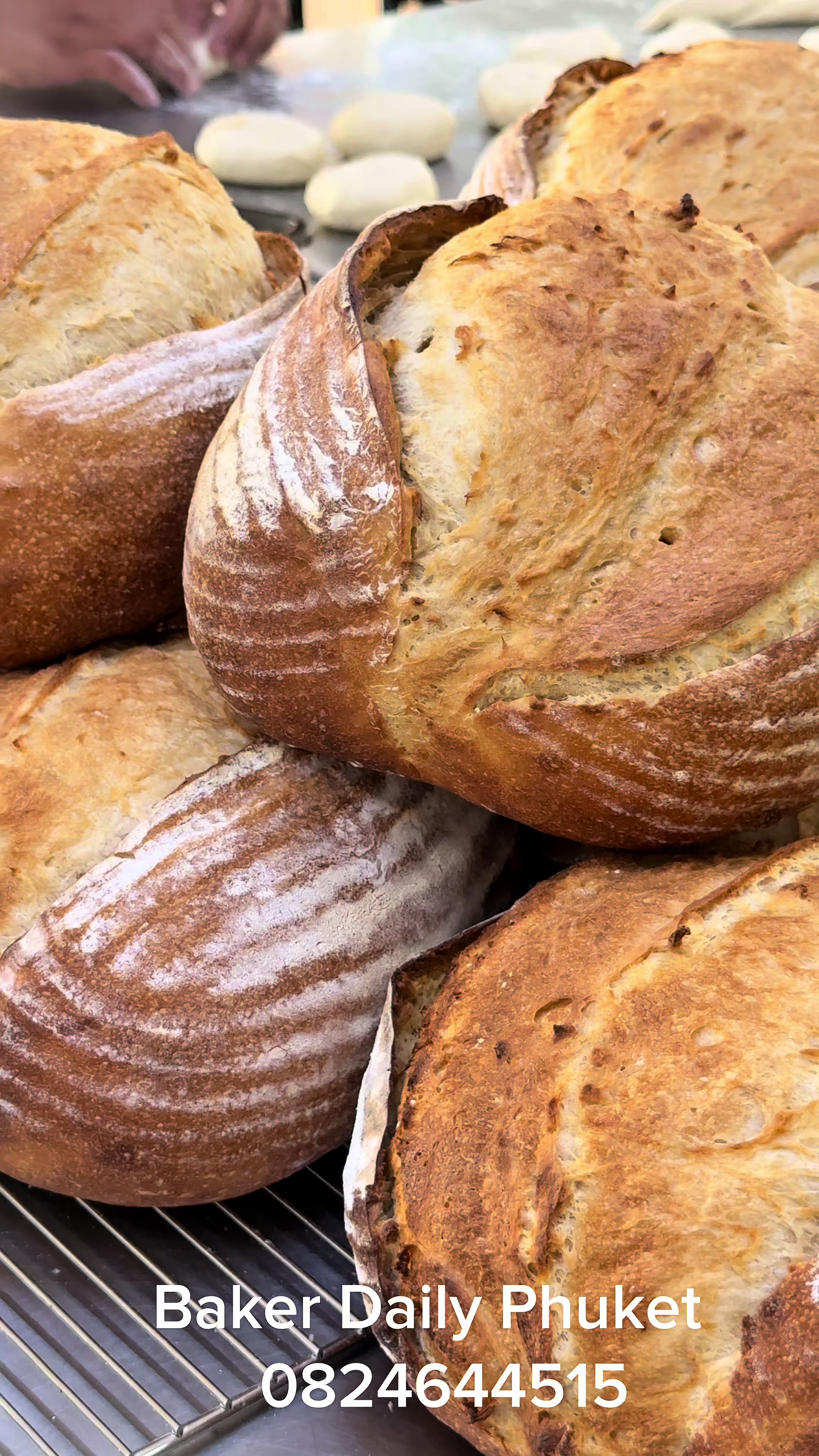 @Baker Daily Phuket