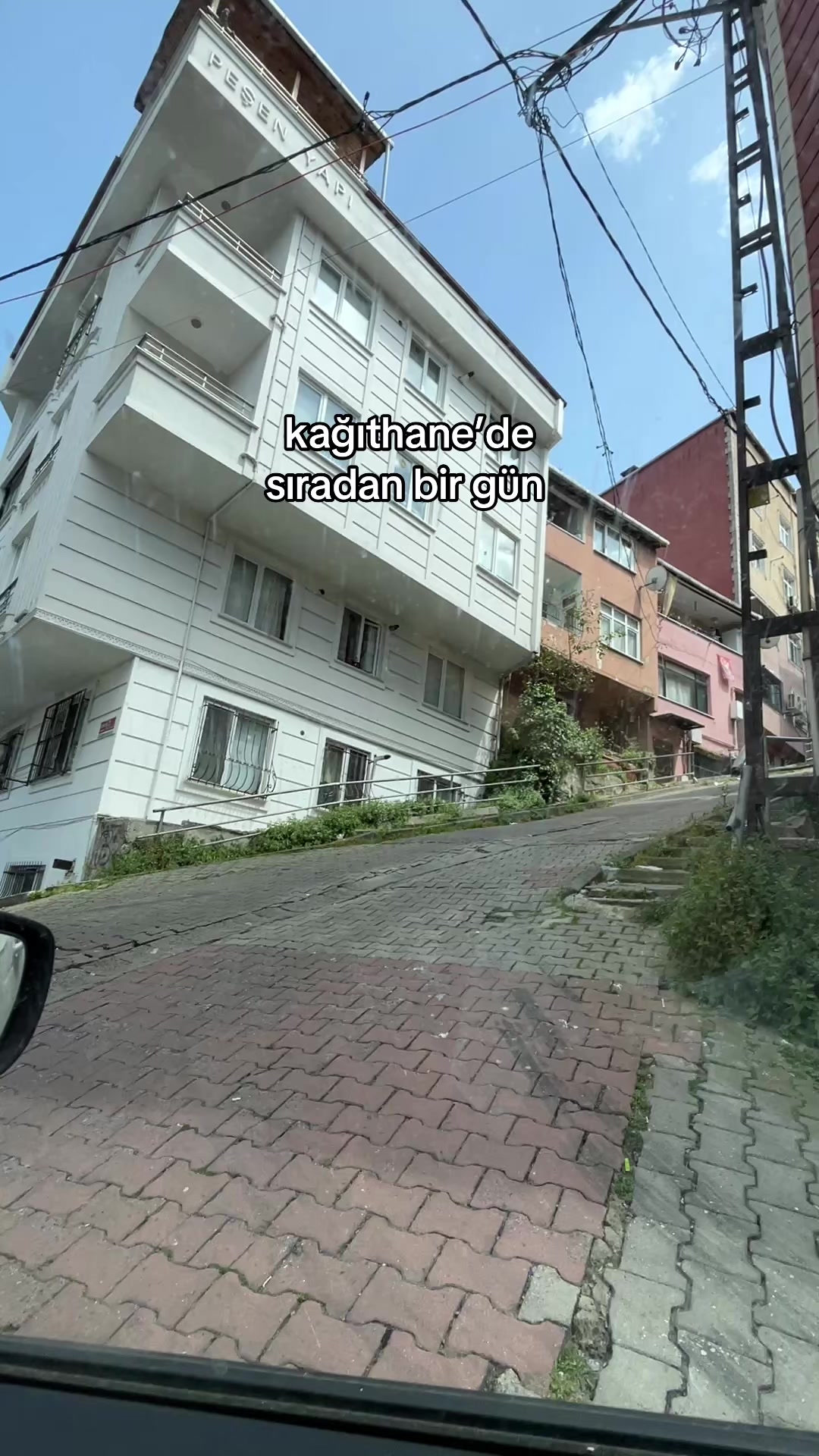 @elifarslna