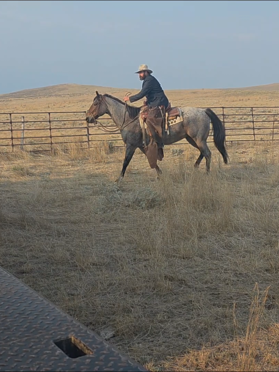 @wyomingrancher