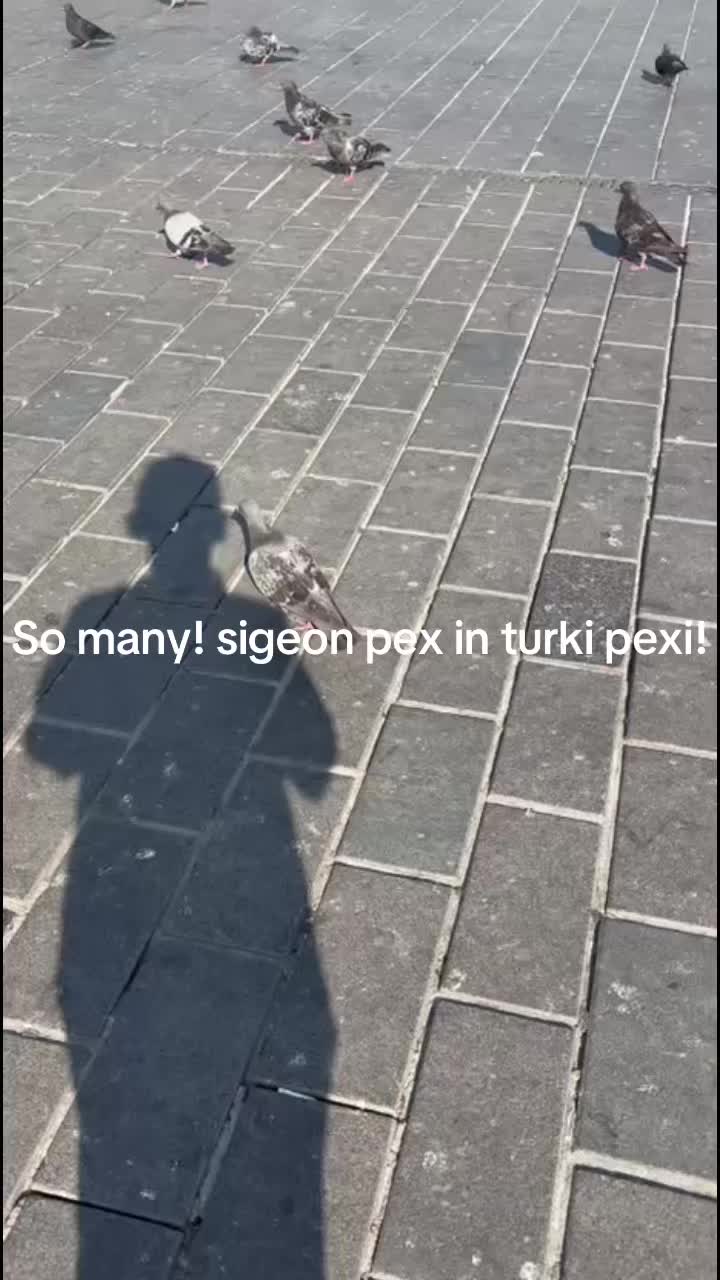 @𝚇𝚉𝚇𝙴𝙽𝙴𝚁𝙶𝚈