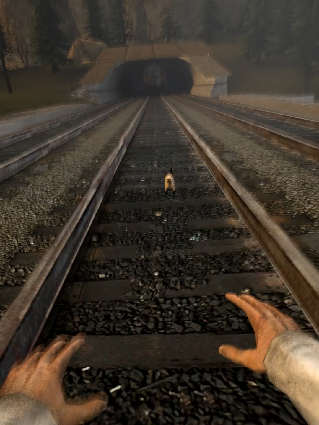 @DRbINDA_GMOD
