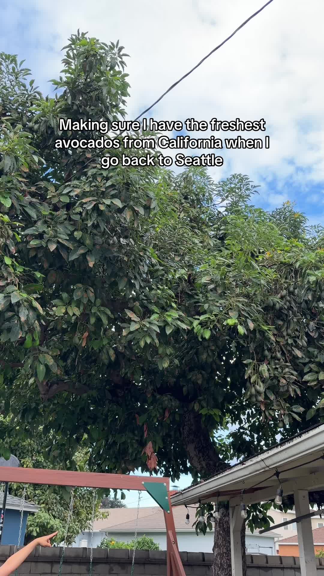 @Anna 🫶