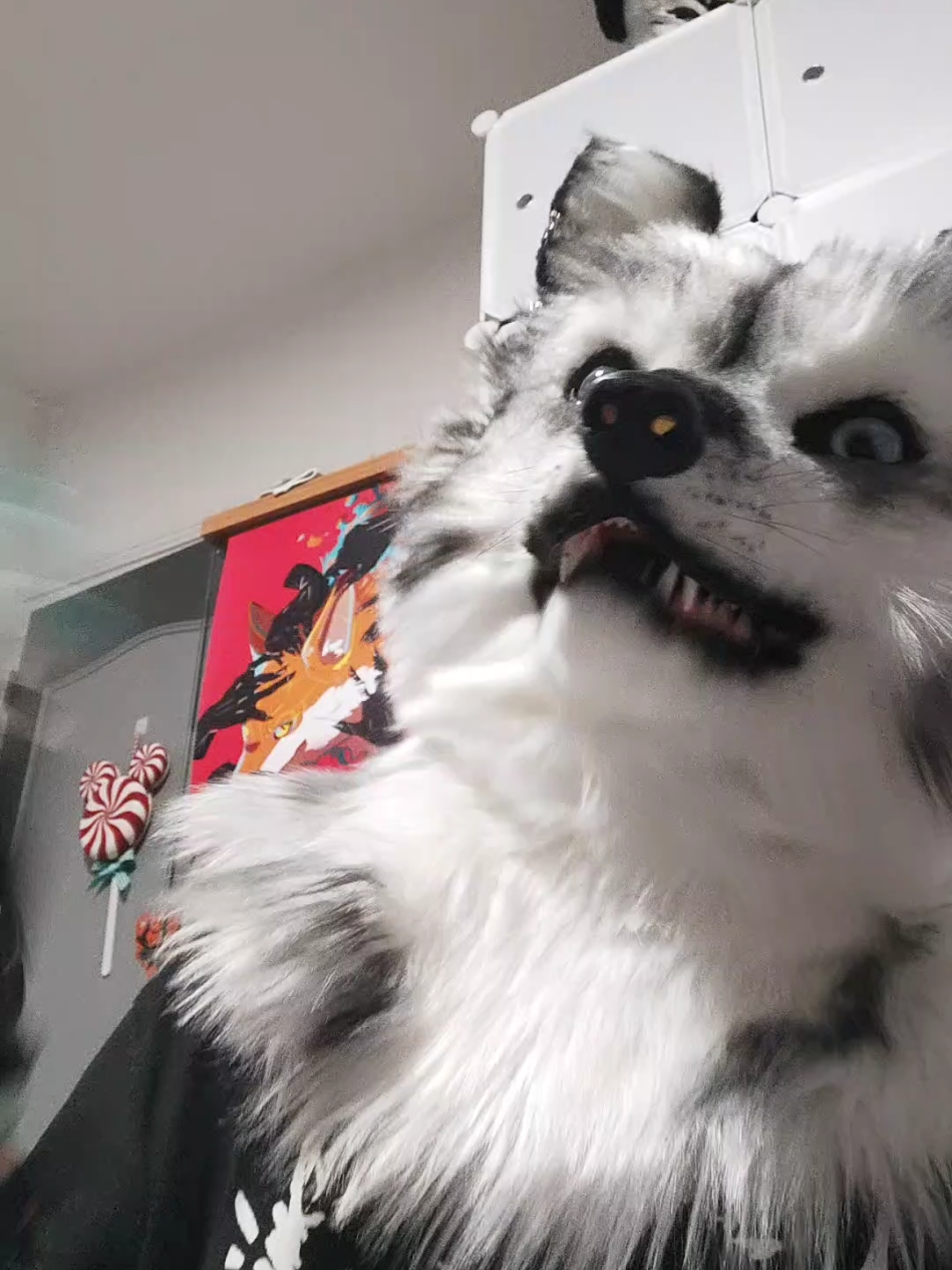 @Shysako.Fur