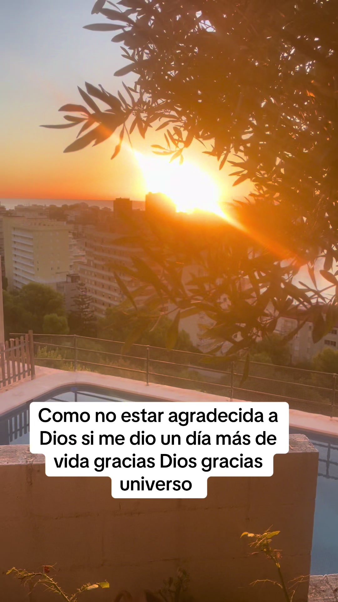 @Carmen Tomás 13