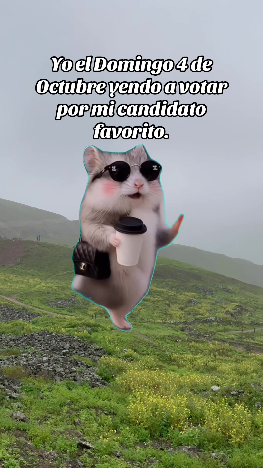 @luzbelizario
