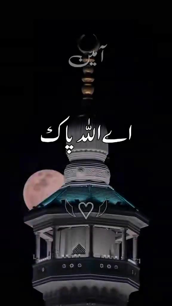 @maliksajjad1860