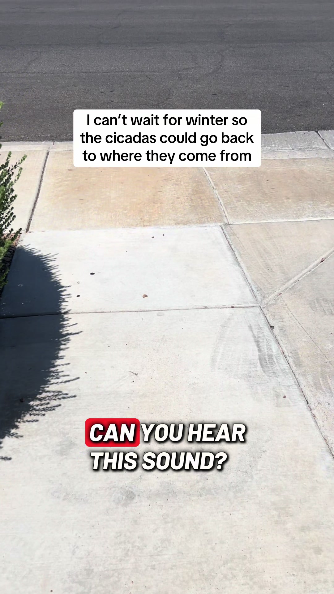 @Gigi