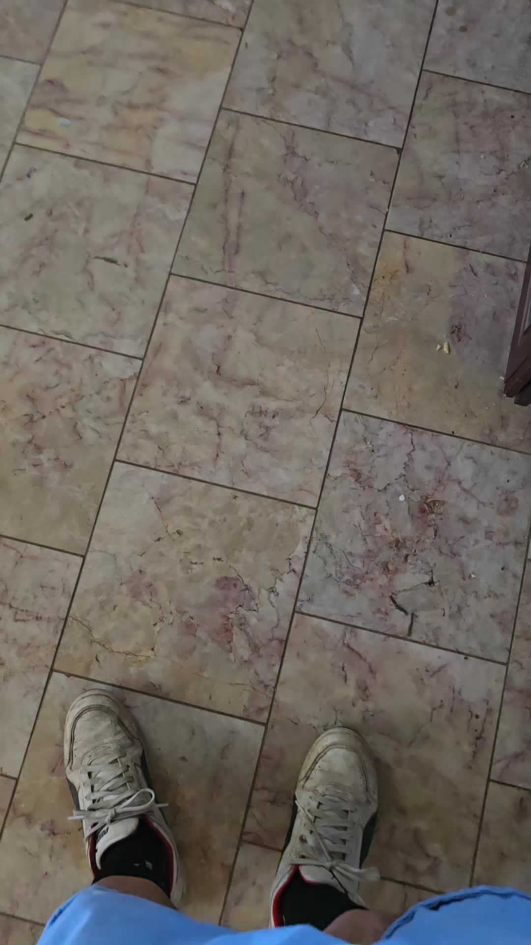 @user3132255672058