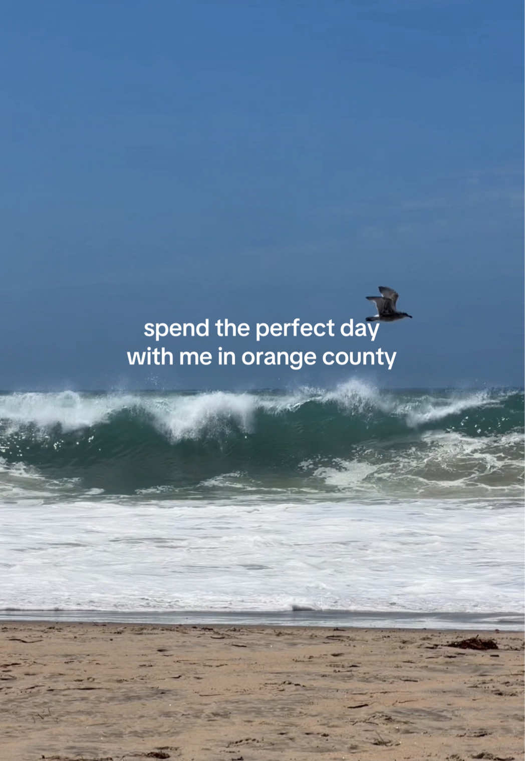 @ashley