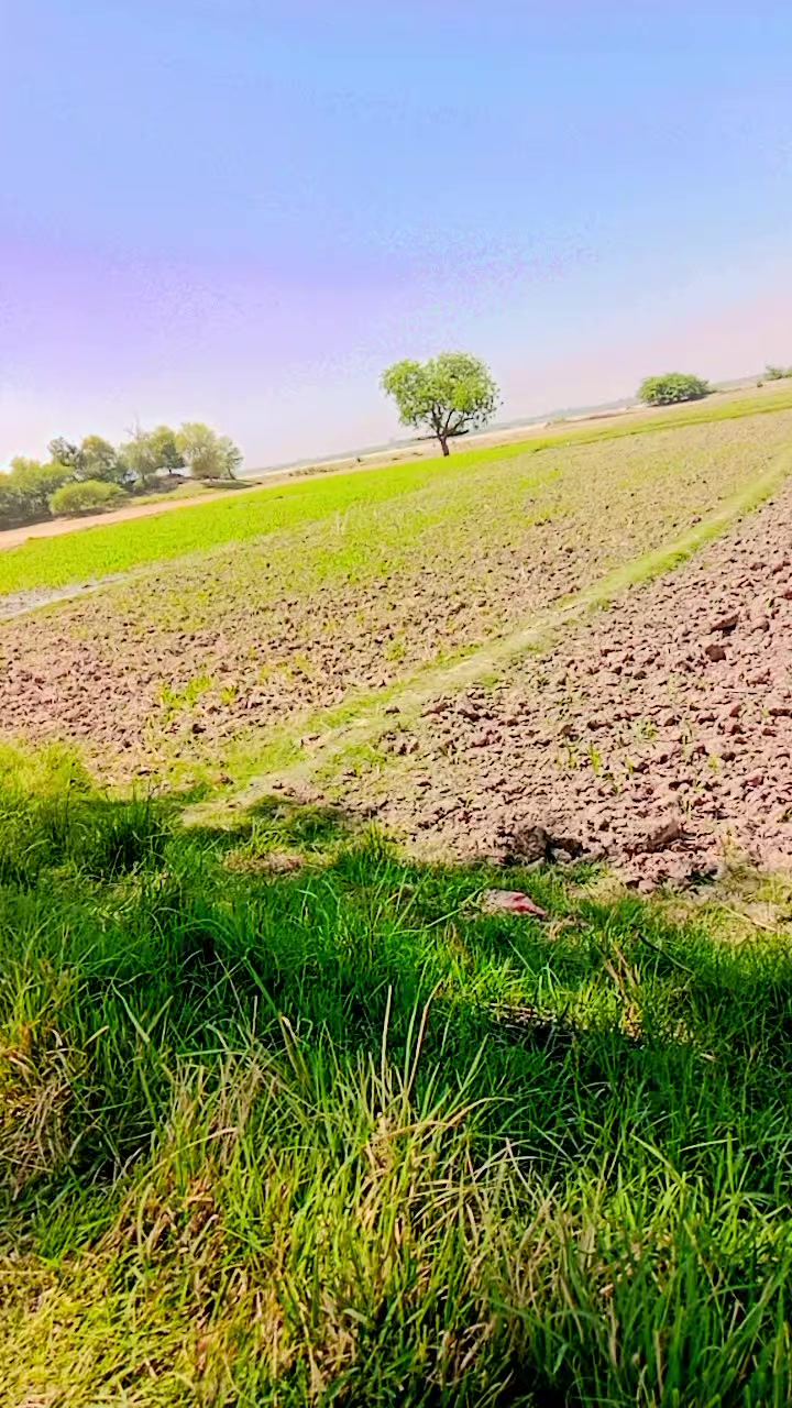 @Aqeed