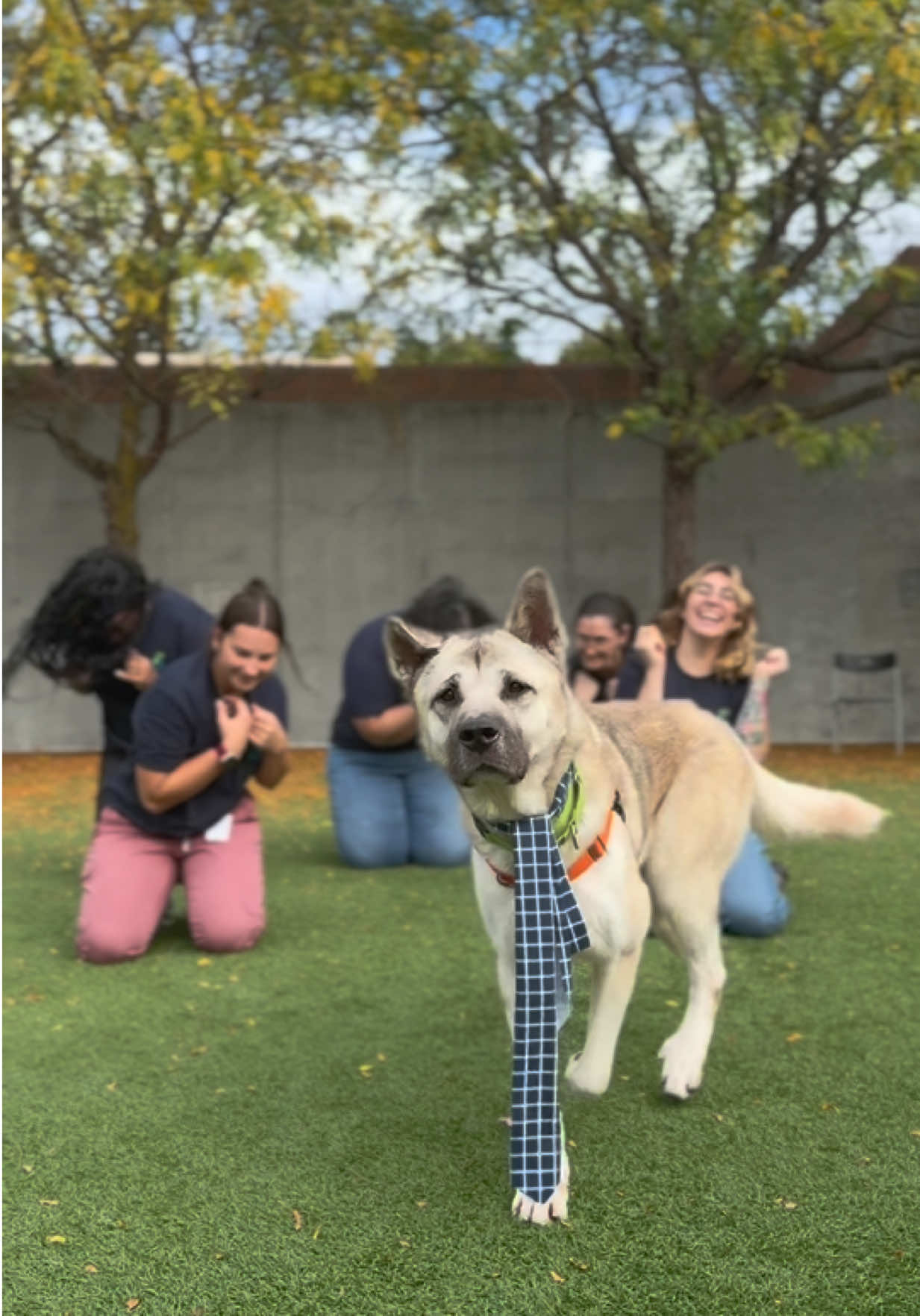 @Seattle Animal Shelter
