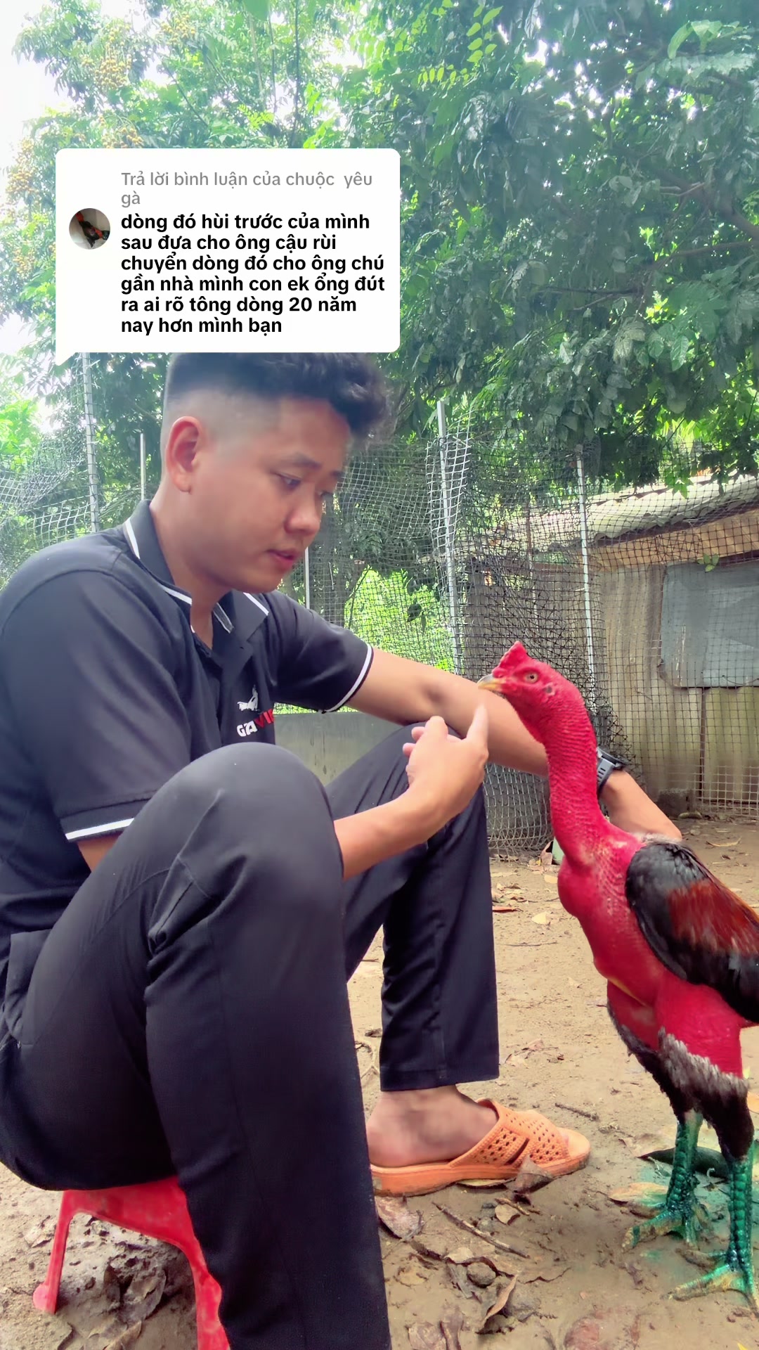 @Quyền Ba V&igrave;