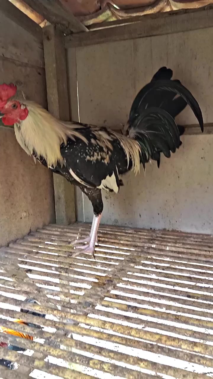 @R-K. FARM (MDR)