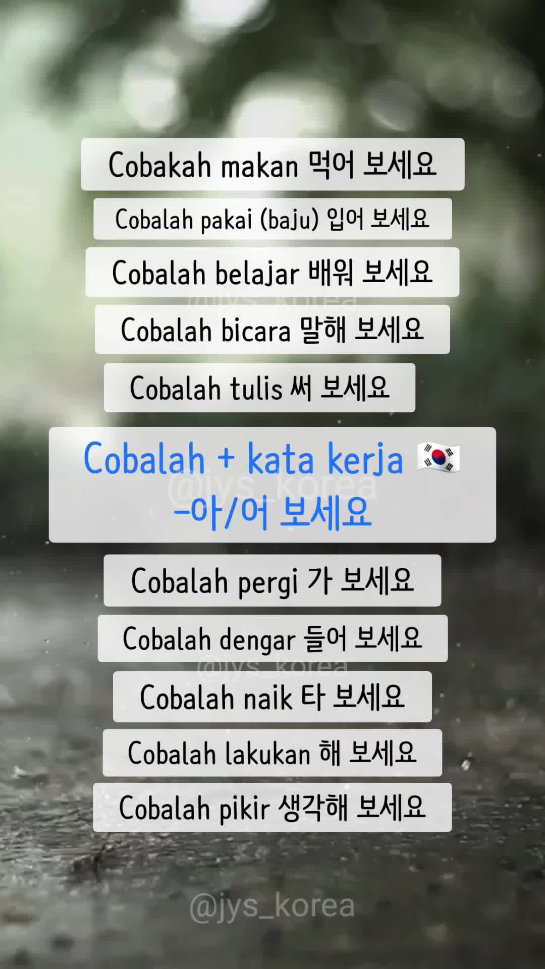 @JYS Korea