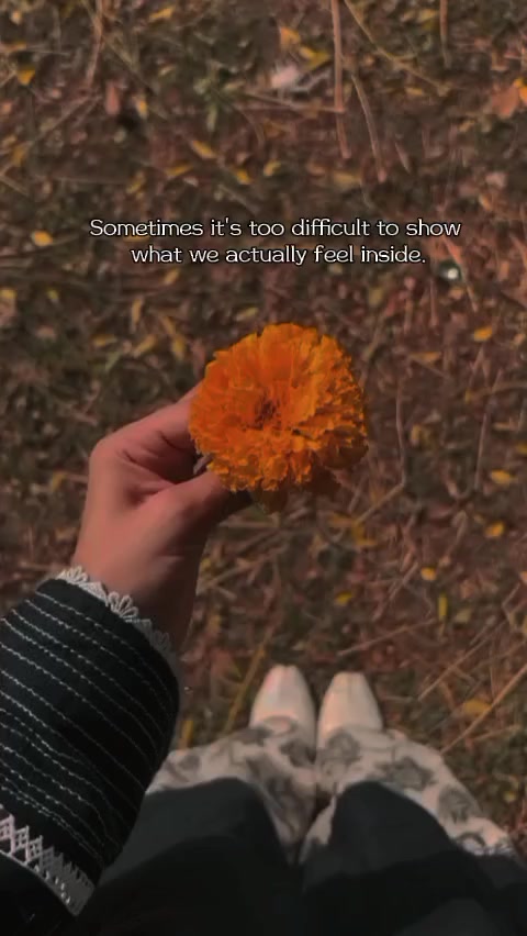 @shamzakhurram20