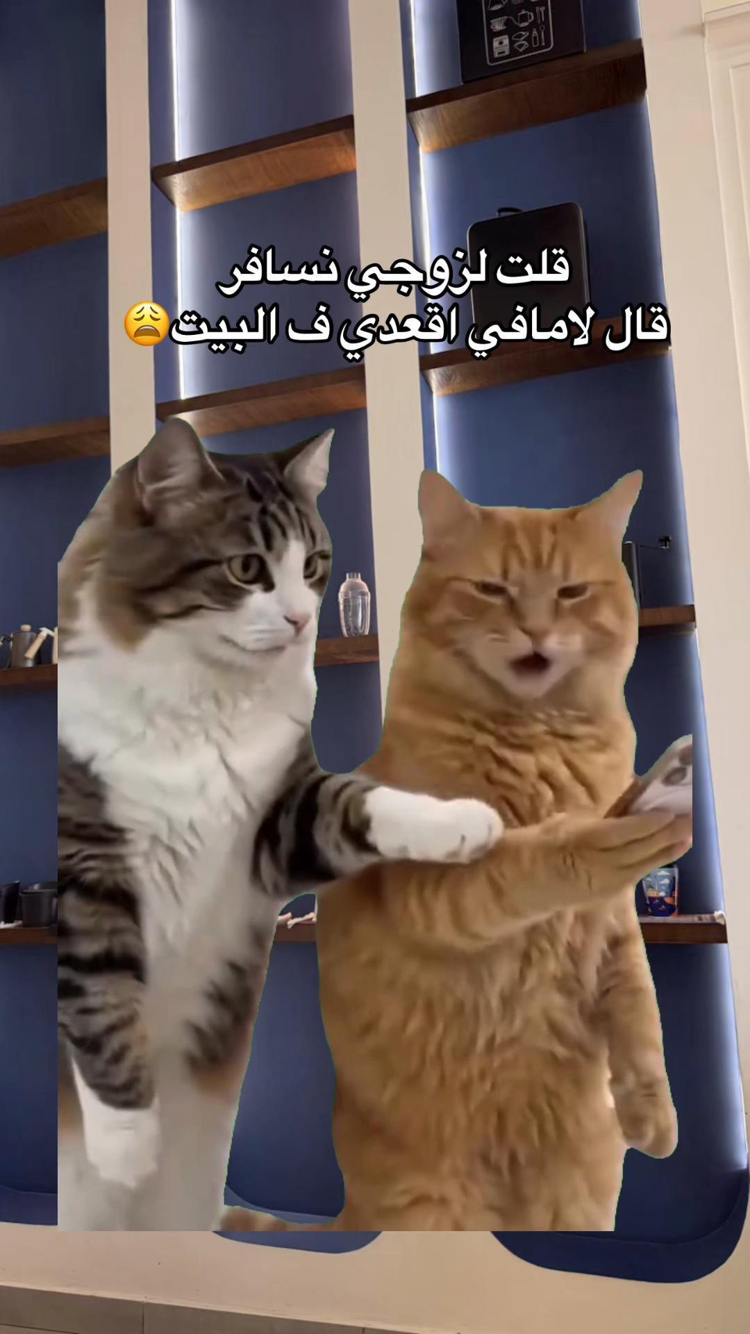 @دلال