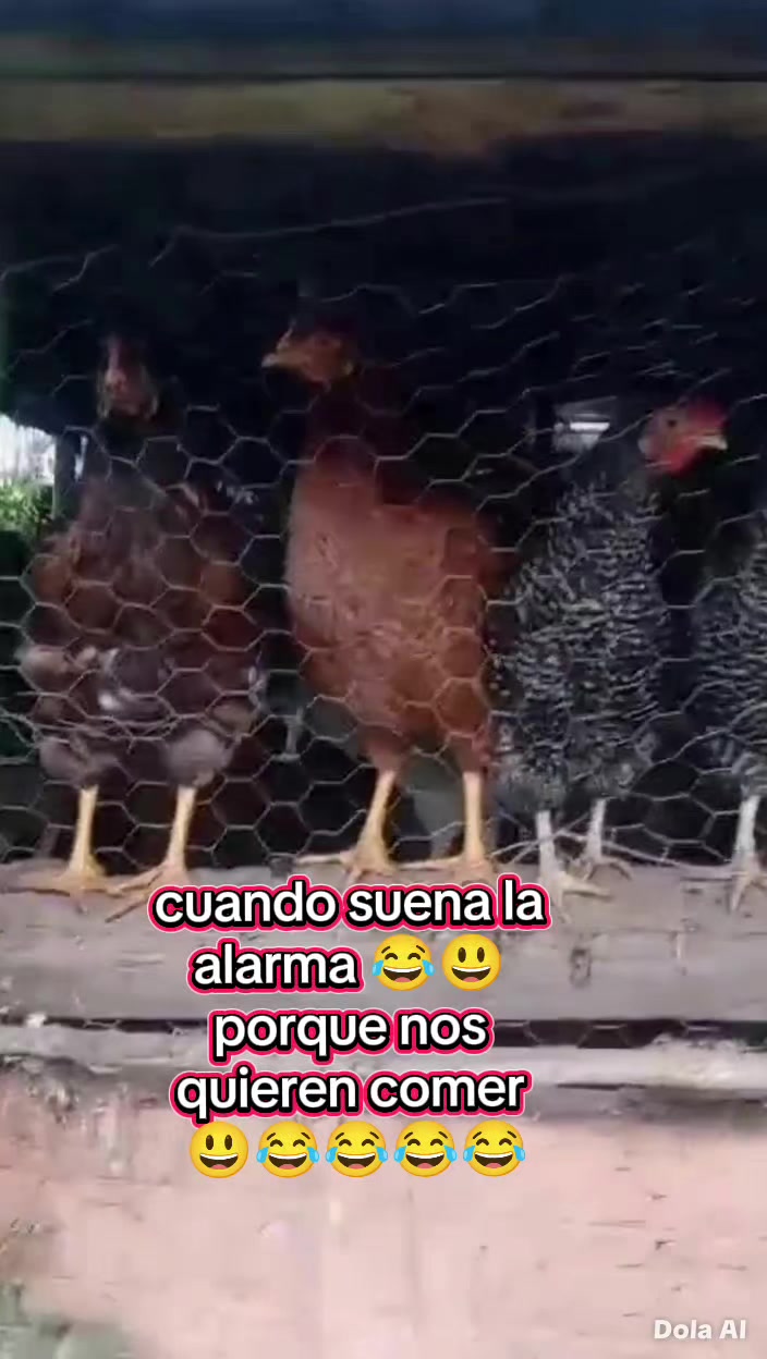 @Maria Fajardo ๐๐๐๐๐๐๐๐