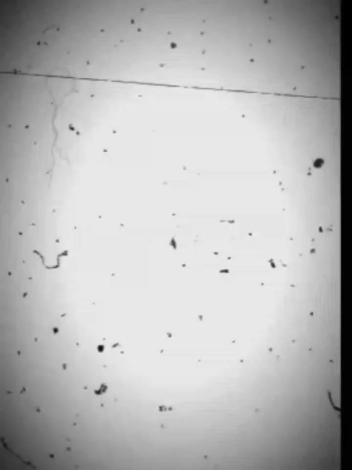 @মোহাম্মদ সোহাগ