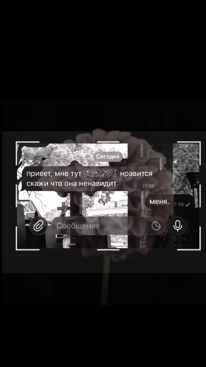 @ncszxtx