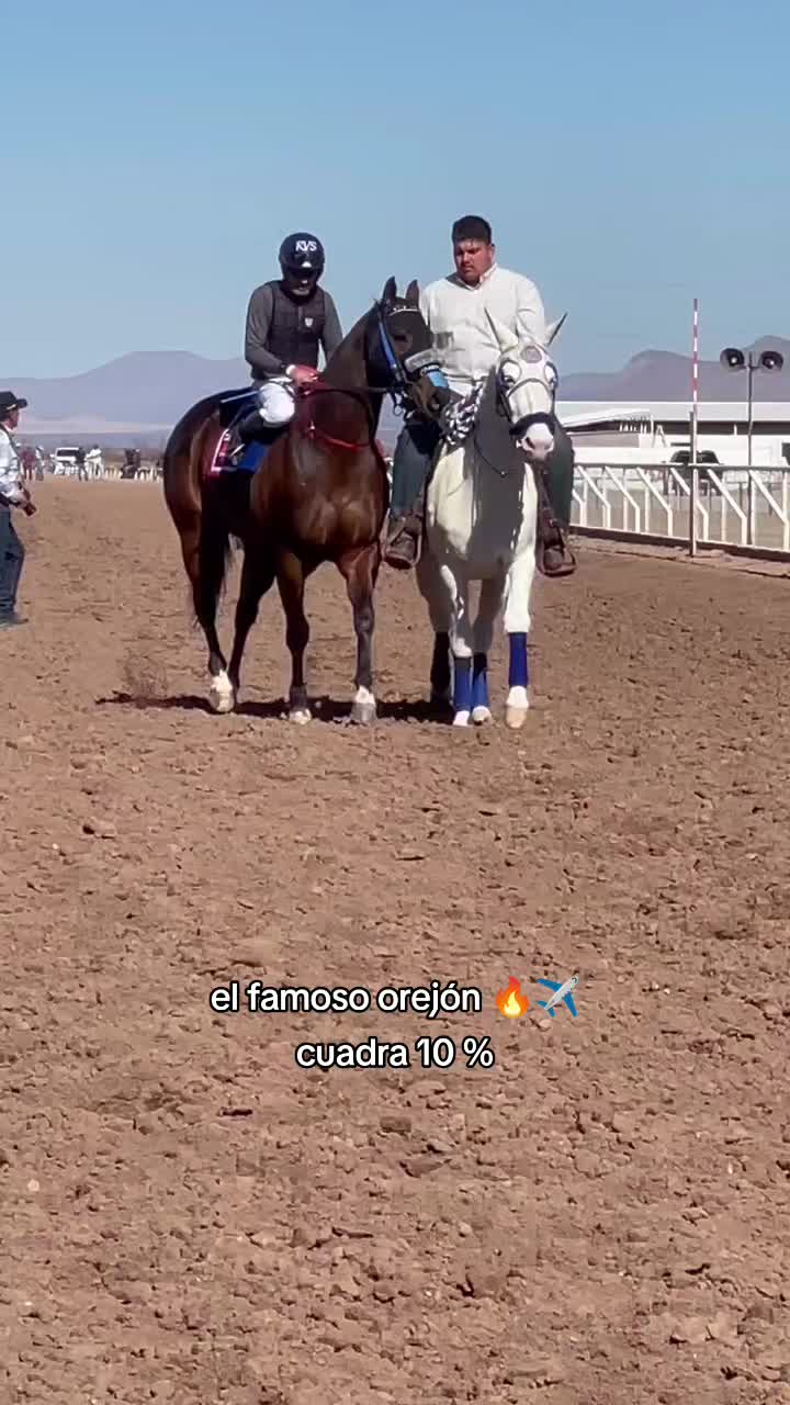 @carriles altos de jalisco🐎