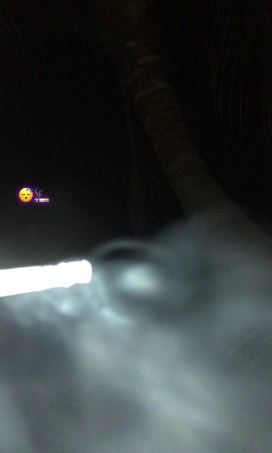 @🕷️