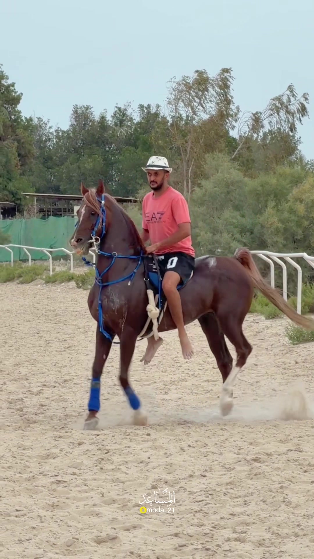 @محمد المساعد🐎📸