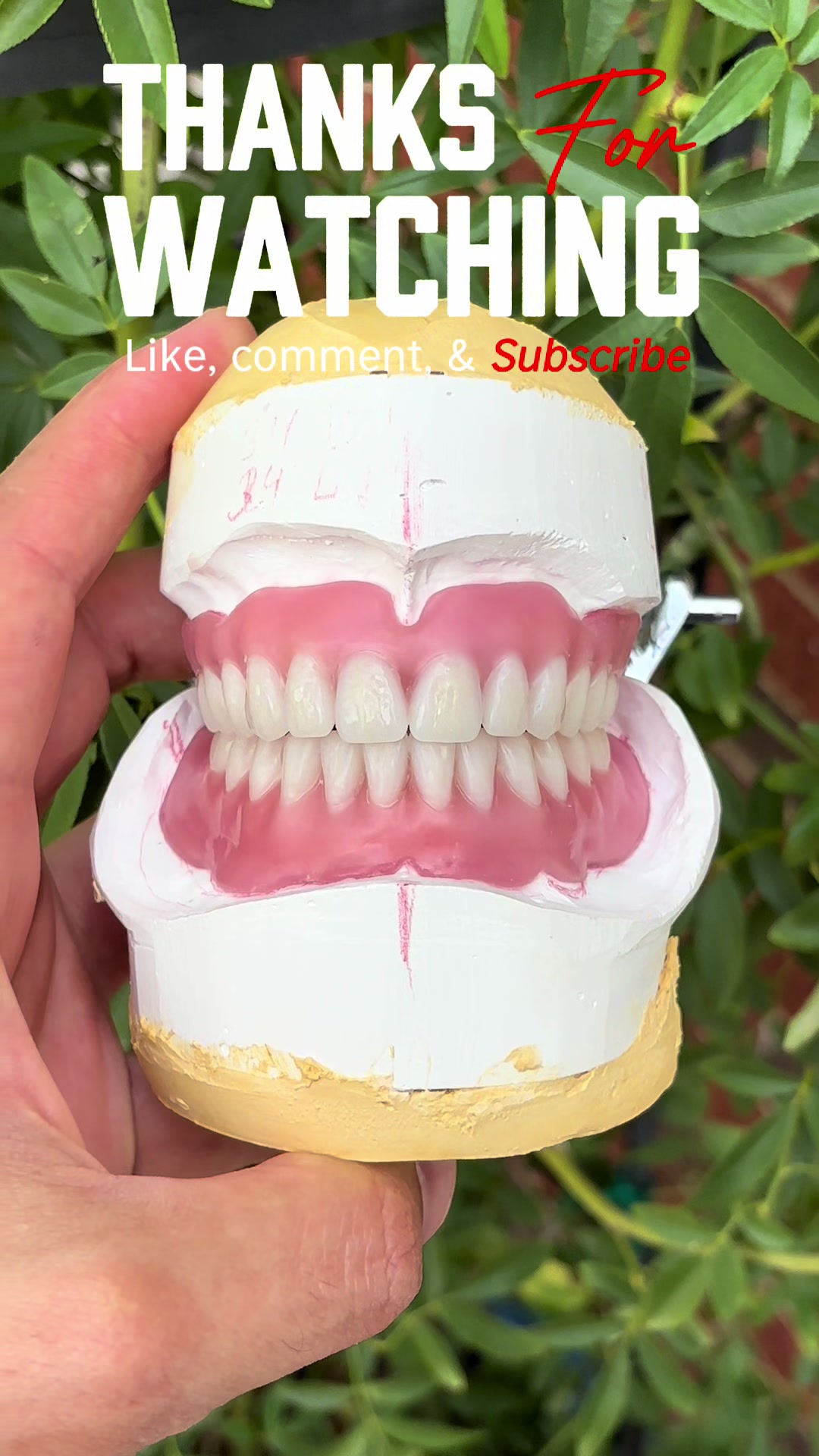 @alexinmotion03