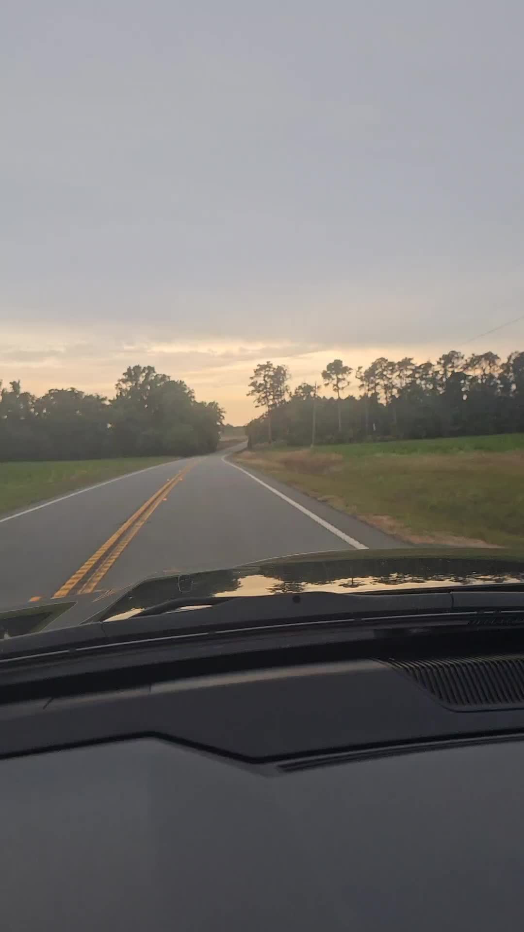 @markwhite9725