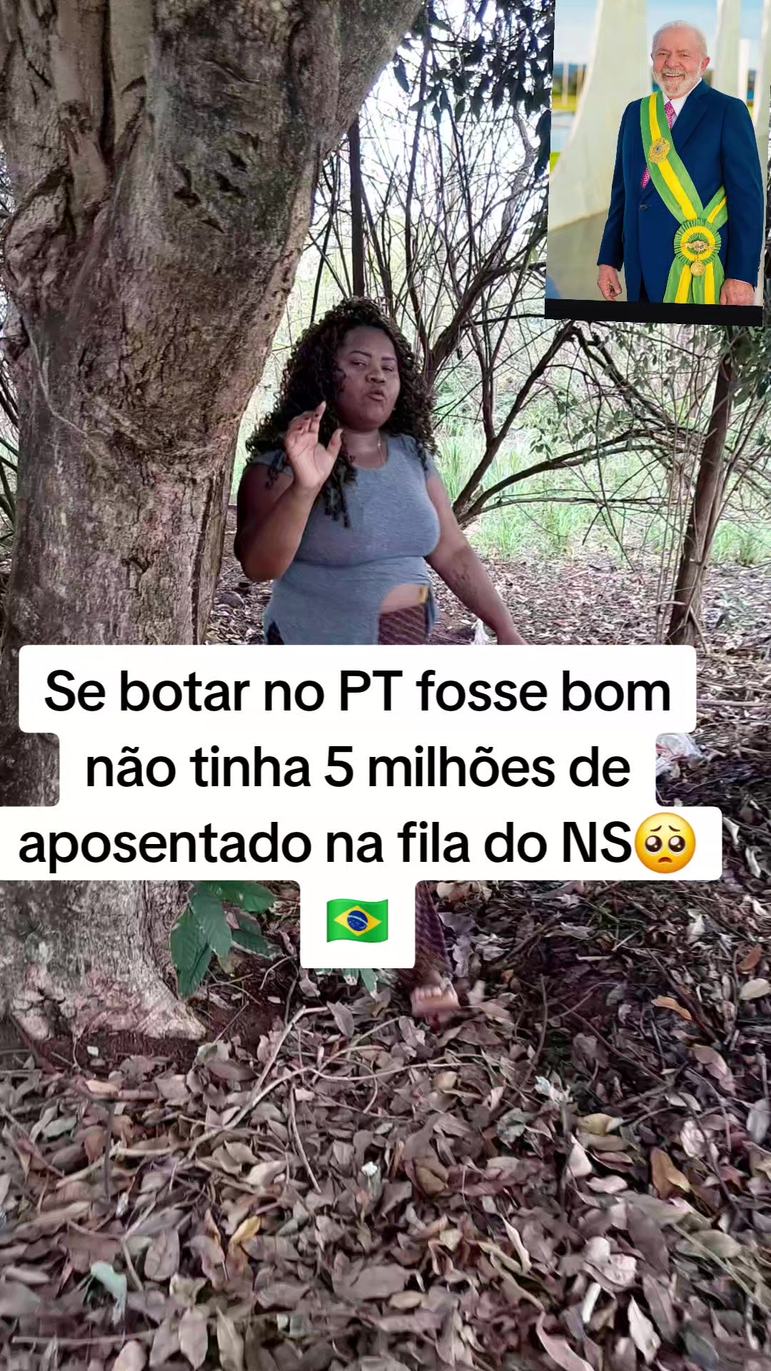 @gata jato