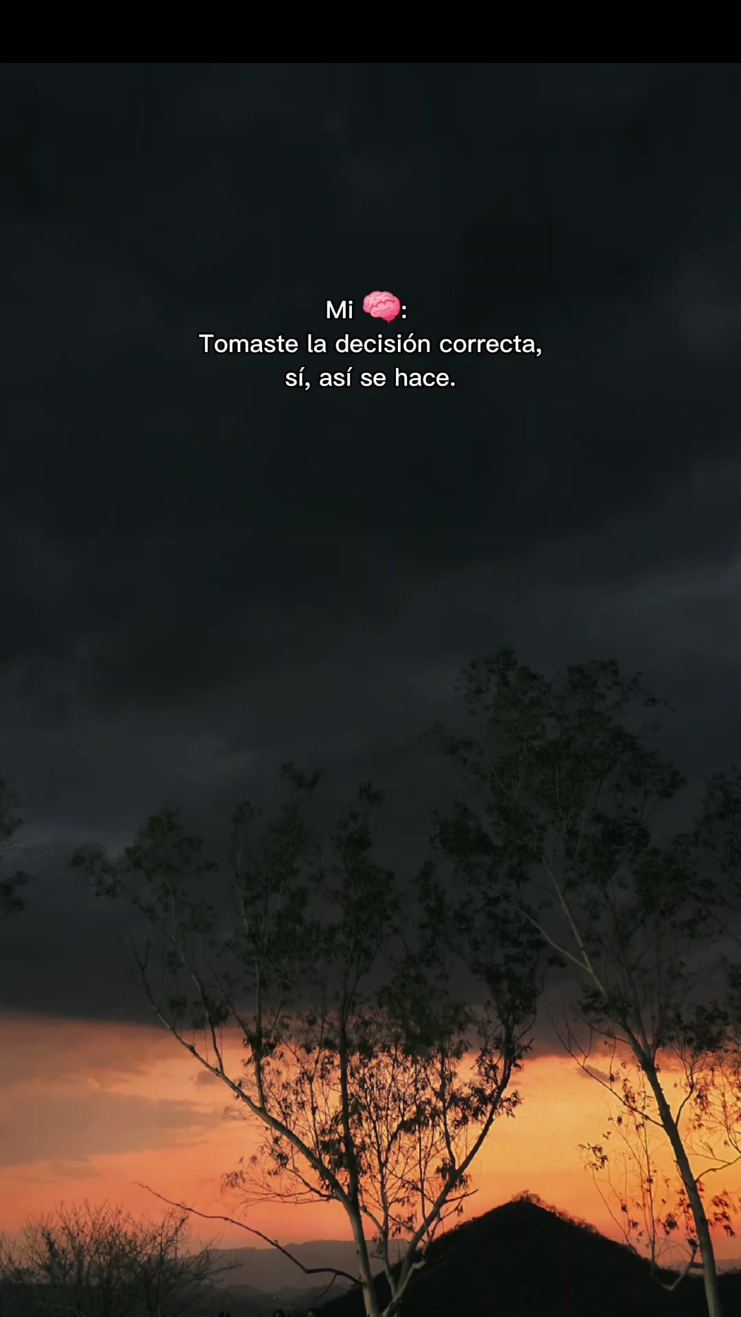 @🦋Vanny