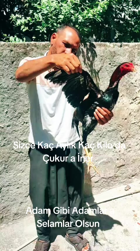 @Salih Öztürk