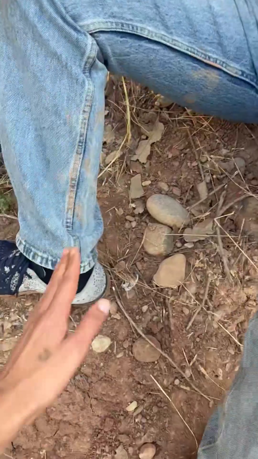 @shorash_morade2