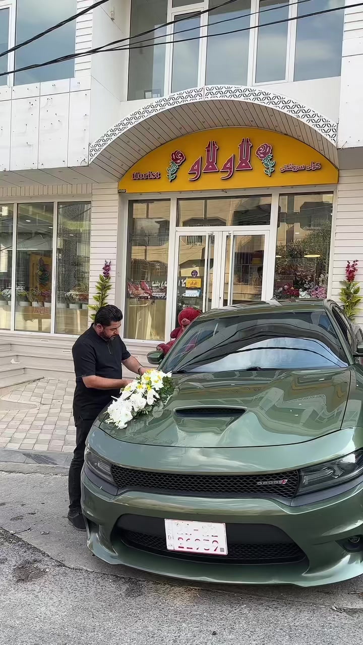 @🌷گـوڵـی سـروشـتـی لاولاو 🌷